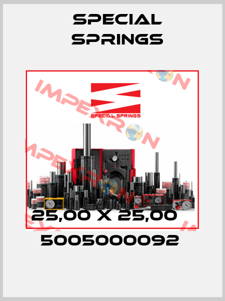 25,00 X 25,00    5005000092  Special Springs
