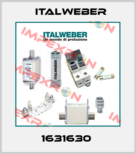 1631630  Italweber