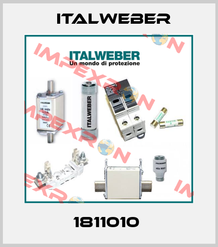 1811010  Italweber