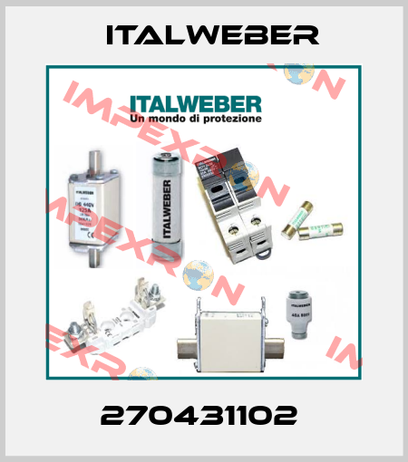 270431102  Italweber