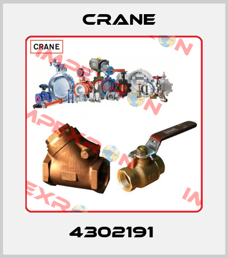 4302191  Crane