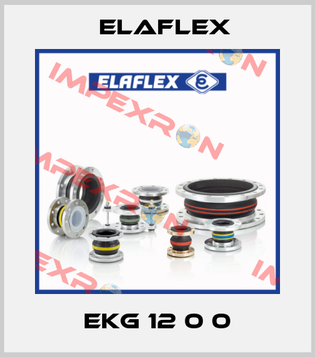 EKG 12 0 0 Elaflex