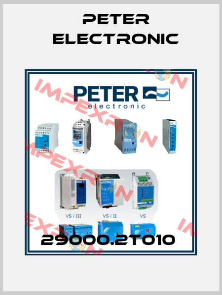 29000.2T010  Peter Electronic