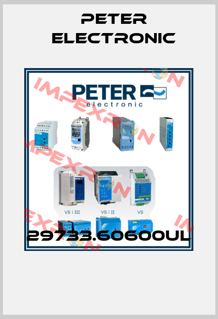 29733.60600UL  Peter Electronic