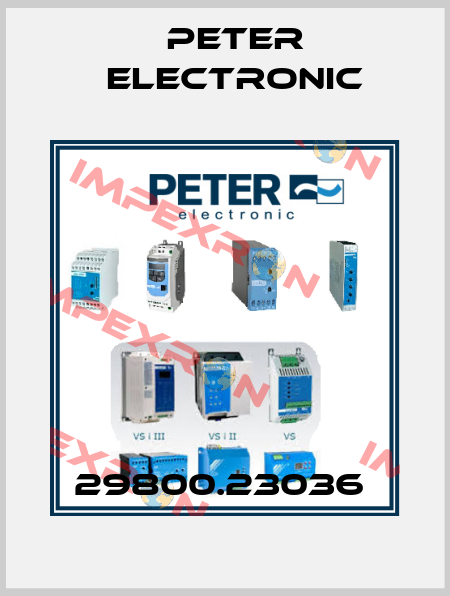 29800.23036  Peter Electronic