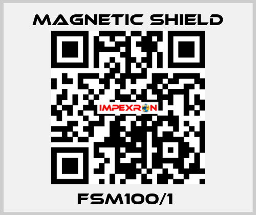 FSM100/1  Magnetic Shield