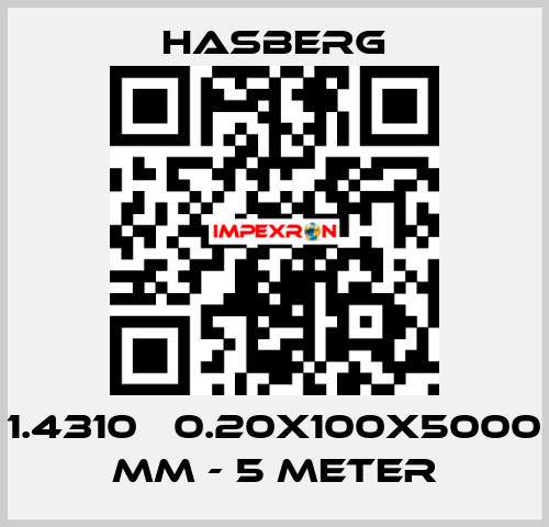 1.4310   0.20X100X5000 MM - 5 METER Hasberg