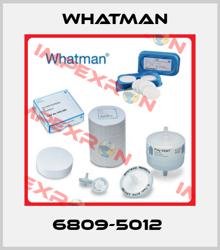 6809-5012  Whatman