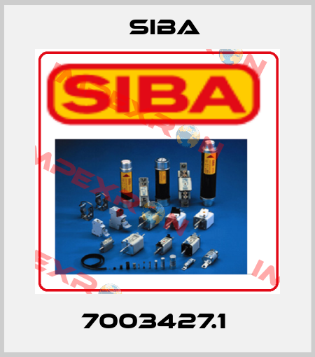 7003427.1  Siba