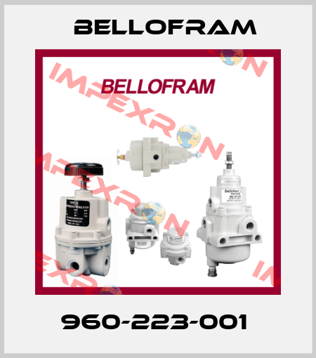 960-223-001  Bellofram