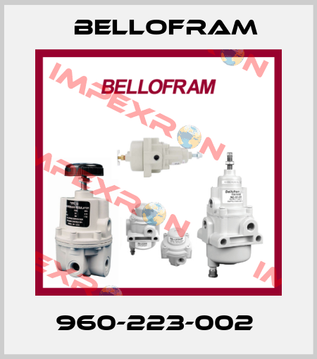 960-223-002  Bellofram
