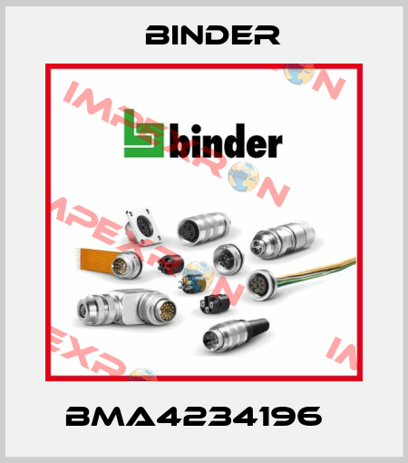 BMA4234196   Binder