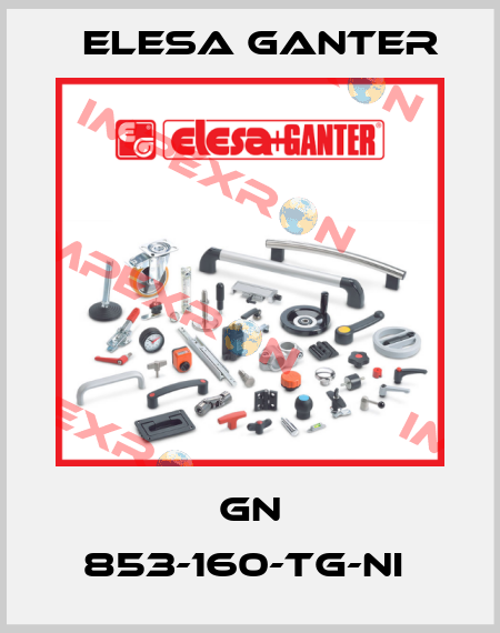 GN 853-160-TG-NI  Elesa Ganter