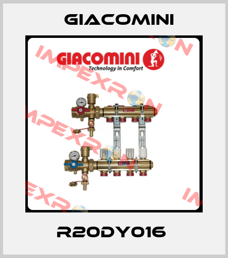 R20DY016  Giacomini