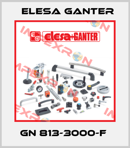 GN 813-3000-F  Elesa Ganter