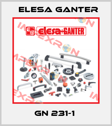 GN 231-1  Elesa Ganter