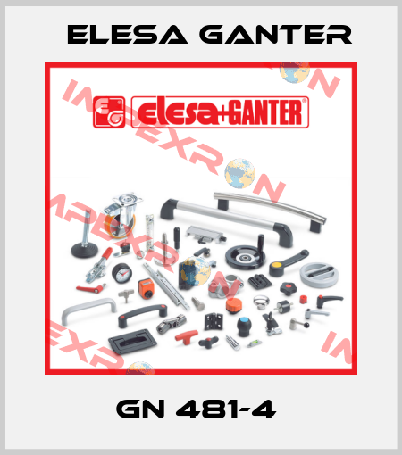 GN 481-4  Elesa Ganter