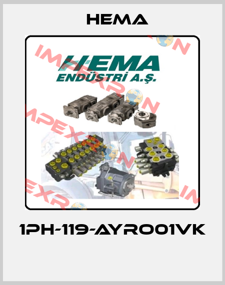 1PH-119-AYRO01VK  Hema
