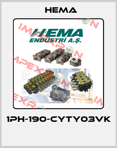 1PH-190-CYTY03VK  Hema