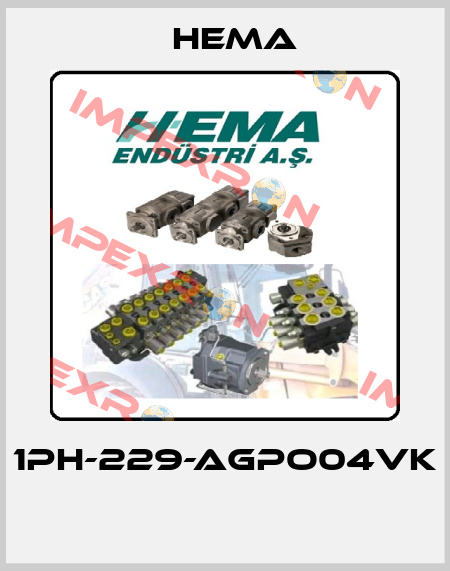 1PH-229-AGPO04VK  Hema