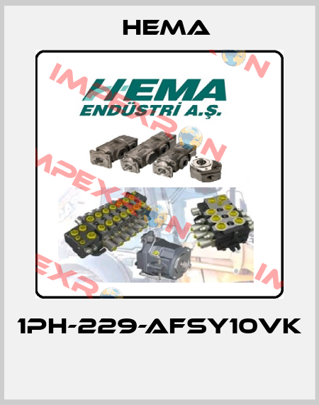 1PH-229-AFSY10VK  Hema