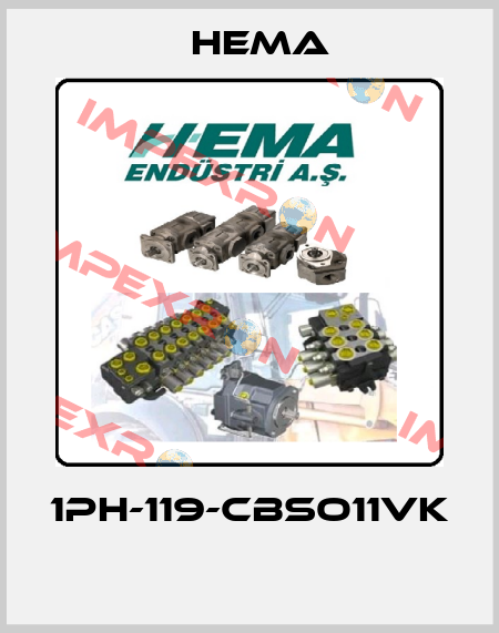 1PH-119-CBSO11VK  Hema