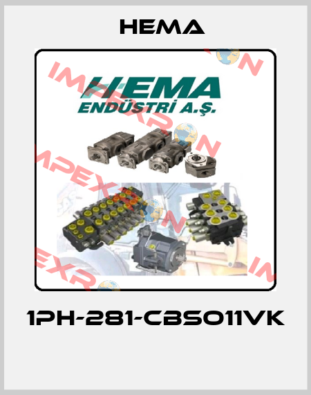 1PH-281-CBSO11VK  Hema
