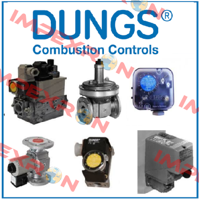 BCS 301 GAS CONTROL UNIT  Dungs