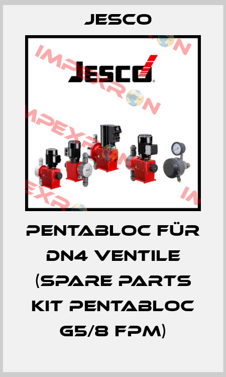 PENTABLOC für DN4 Ventile (Spare Parts Kit PENTABLOC G5/8 FPM) Jesco