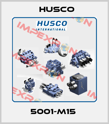 5001-M15  Husco