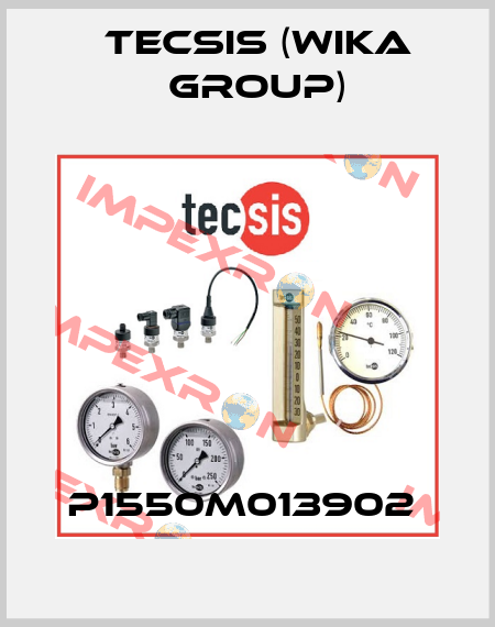 P1550M013902  Tecsis (WIKA Group)