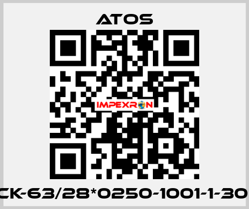 CK-63/28*0250-1001-1-30  Atos