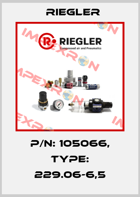 P/N: 105066, Type: 229.06-6,5 Riegler