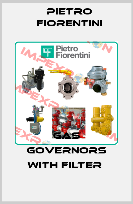 Gas governors with filter  Pietro Fiorentini