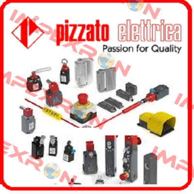 FD 502-2M2K40  Pizzato Elettrica