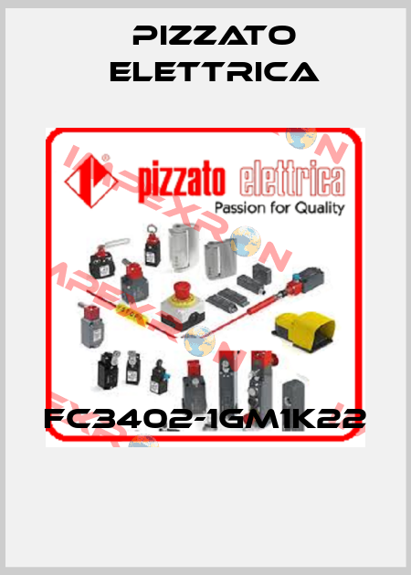 FC3402-1GM1K22  Pizzato Elettrica