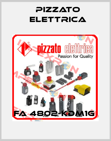 FA 4802-KDM1G  Pizzato Elettrica