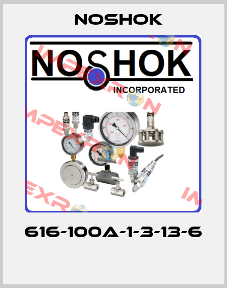 616-100A-1-3-13-6  Noshok