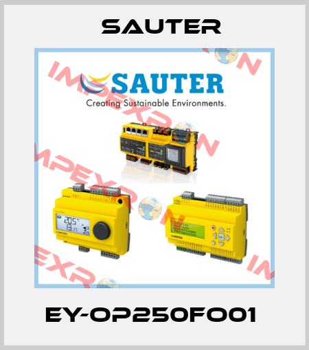 EY-OP250FO01  Sauter