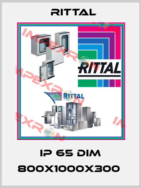 IP 65 DIM 800X1000X300  Rittal