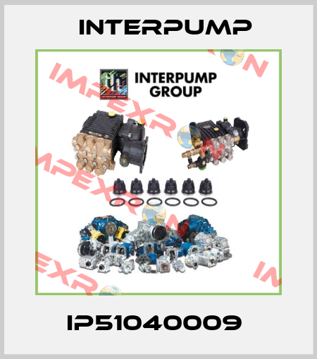 IP51040009  Interpump