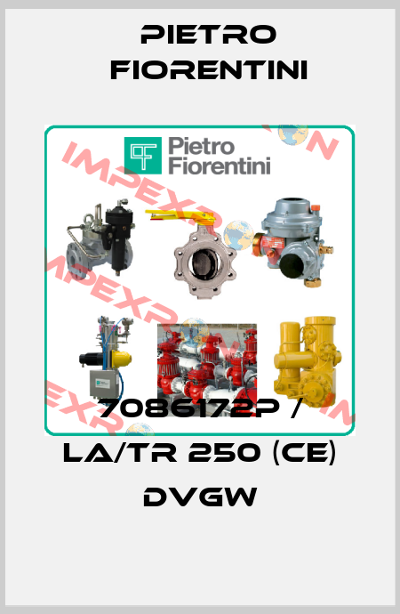 7086172P / LA/TR 250 (CE) DVGW Pietro Fiorentini