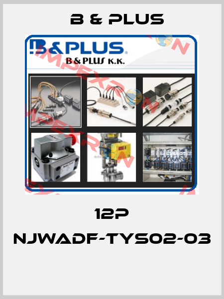 12P NJWADF-TYS02-03  B & PLUS