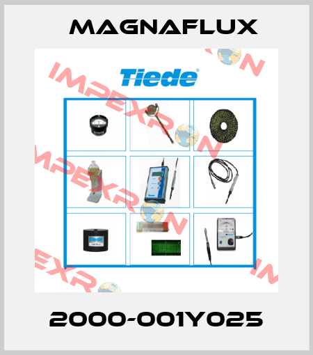 2000-001Y025 Magnaflux