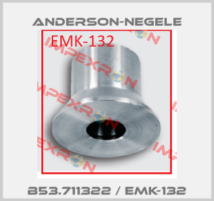 B53.711322 / EMK-132 Anderson-Negele
