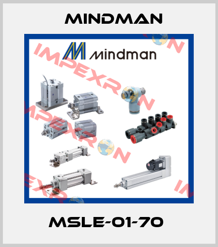 MSLE-01-70  Mindman