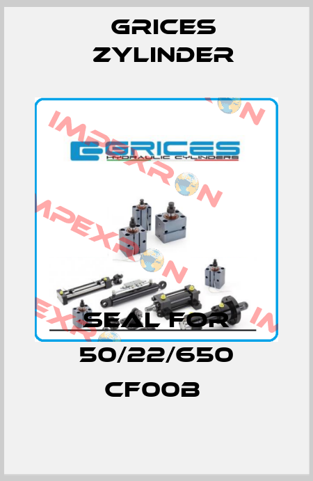 Seal for 50/22/650 CF00B  Grices Zylinder