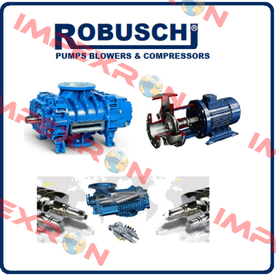 300395  Robuschi