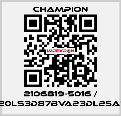 2106819-5016 / G20LS3D87BVA23DL25A10 Champion