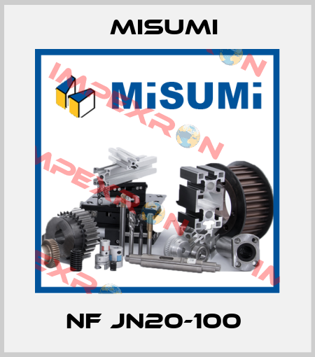 NF JN20-100  Misumi